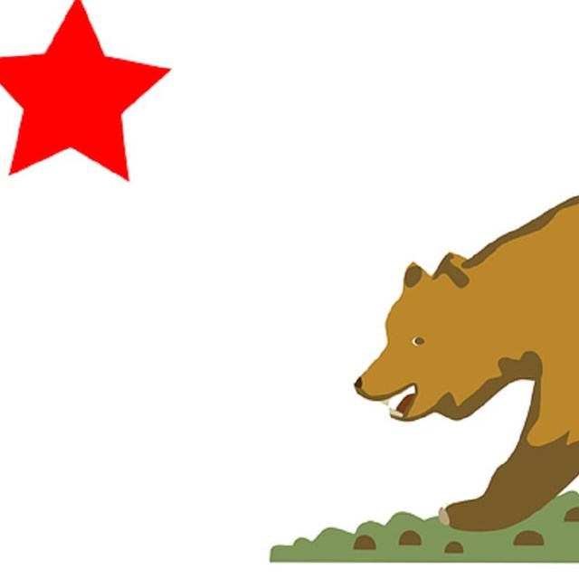 State flag of California, CC0