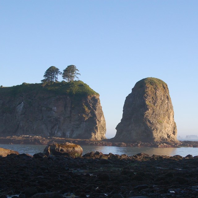 rock coast with rock outcrops