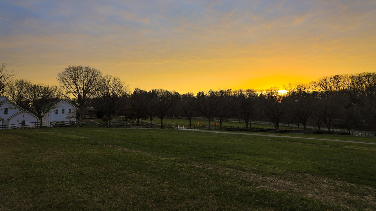 A yellow sunset over a field with a white barn on the far left.