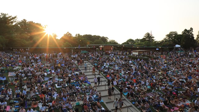 People on a lawn during golden hour. 