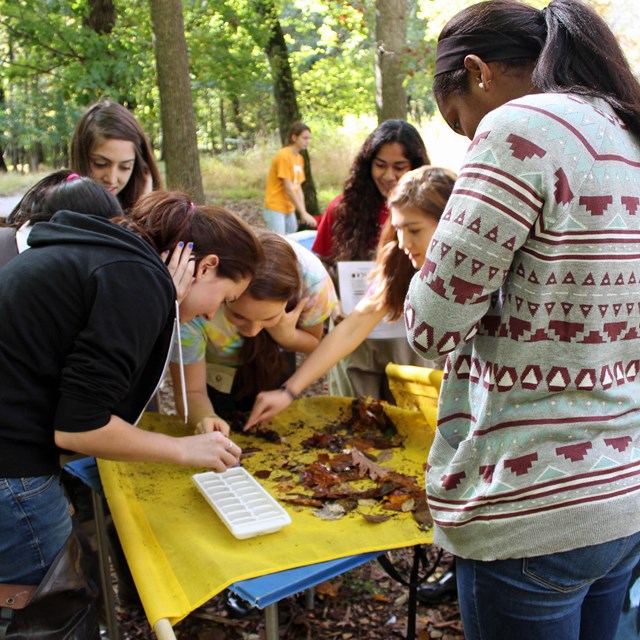 Students conduct environmental science research in the park.