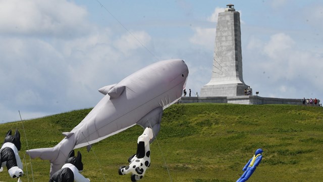 Animal shaped kites are flown with monument in background. Shark kite at center.