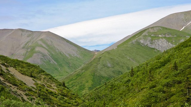 A small trail with mountains and brush.