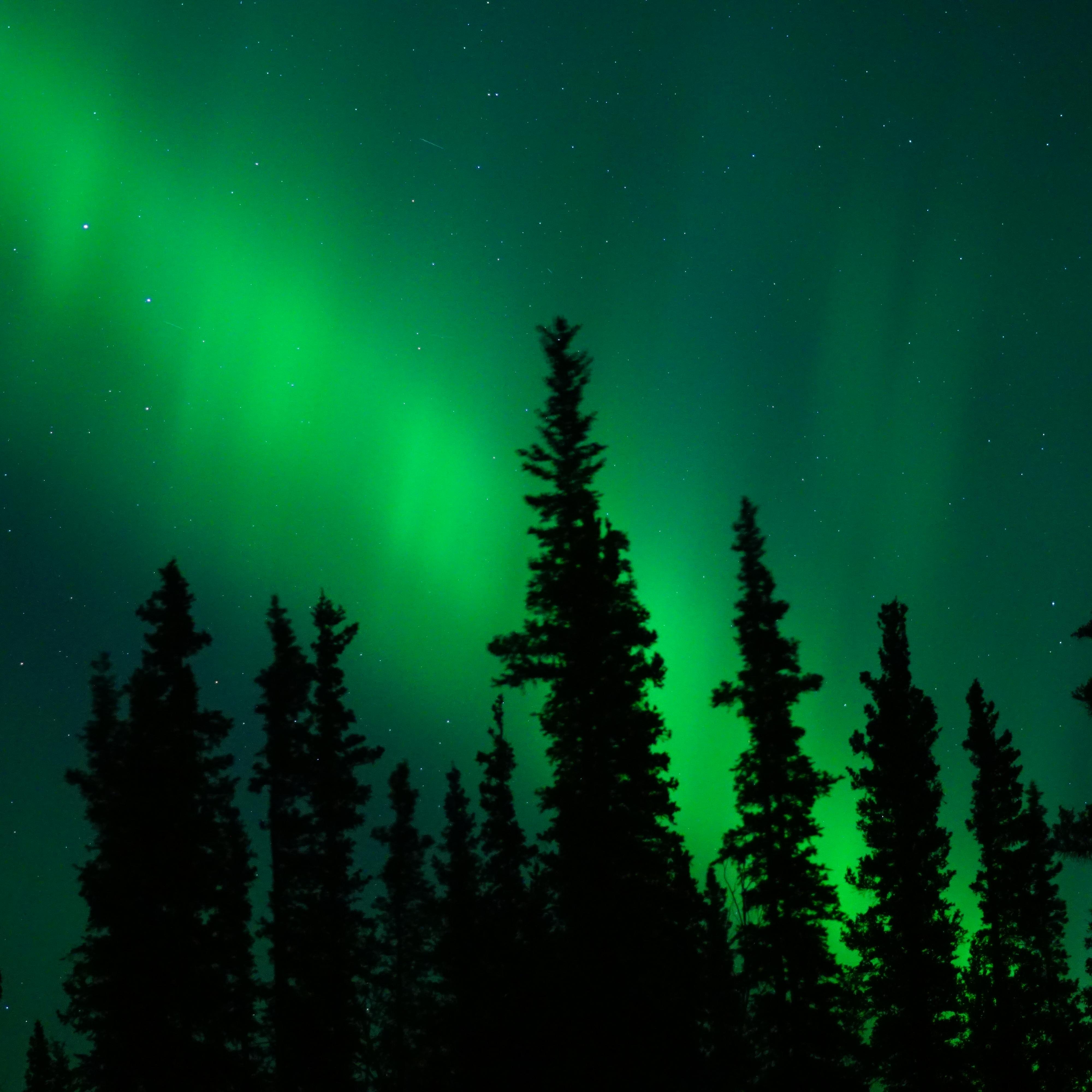 colorful bands of green light in the night sky