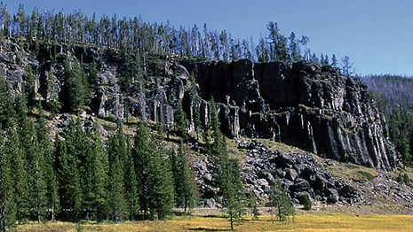 Gray, columnar cliff standing above the surrounding forest and meadow.