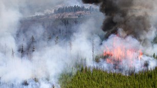 1988 Fires - Yellowstone National Park (U.S. National Park Service)