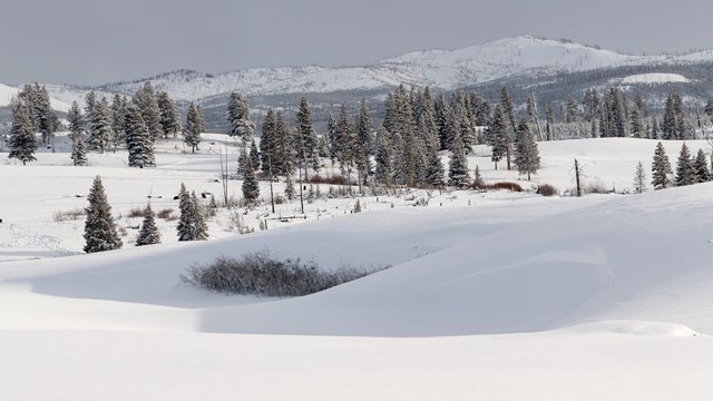 Snow blankets rolling hills and conifer trees grow along the ridges.
