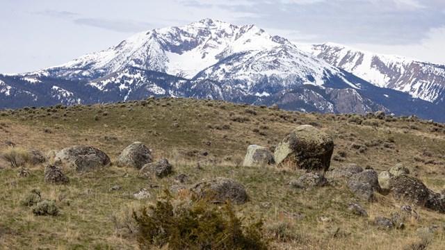 A jagged, snow-covered mountain peak lays beyond a grassy hill with rocks on it.