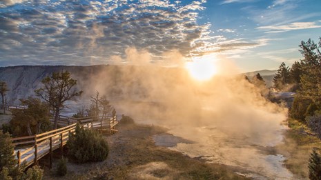 A person enjoys the sunrise at Mammoth Hot Springs