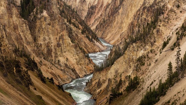 Steep canyon walls rise on either side of the Yellowstone River
