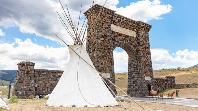 Roosevelt Arch with teepee in front and elk cow and calves on the road