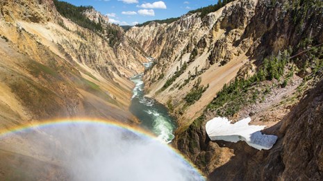 Looking down the Grand Canyon of the Yellowstone from the Brink of Lower Falls