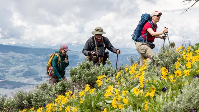 A group of people hikes through a wildflower-covered hillside.