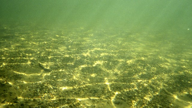 Underwater view of the lake floor, showing sand and gravel.