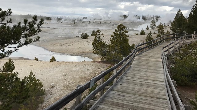 A boardwalk winds through a forested area, providing views on a stark, gray, steaming landscape.