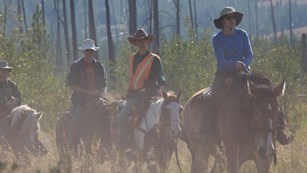 Riders on horseback travel through a dusty field.