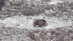 A bubble bursts on the surface of a mudpot and makes a satisfying plopping sounds.