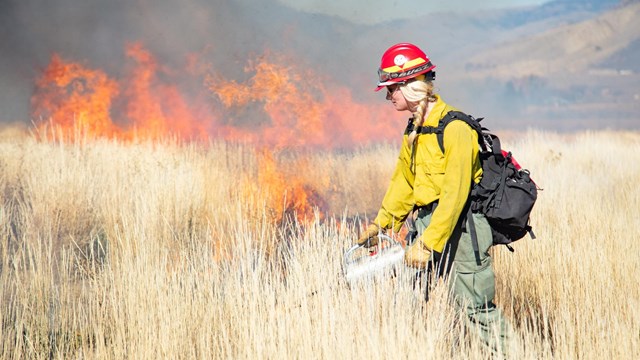 A wildland fire fighter performs a prescribed burn