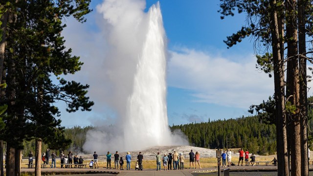 people watch an old faithful eruption