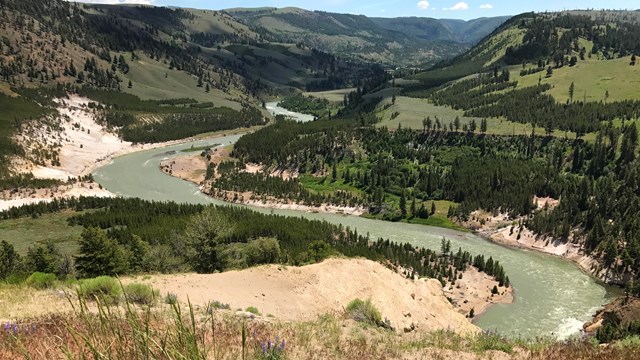 The Yellowstone River meanders through a forested valley, exposing tan rock.