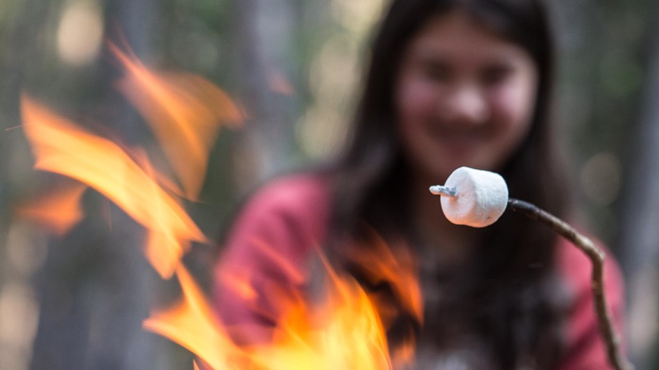 Girl roasting marshmallow over an open fire.