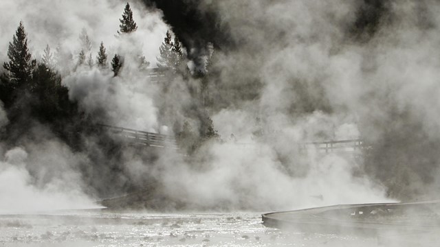Steam rises from hot springs and runoff flowing in front of a wooded hillside.