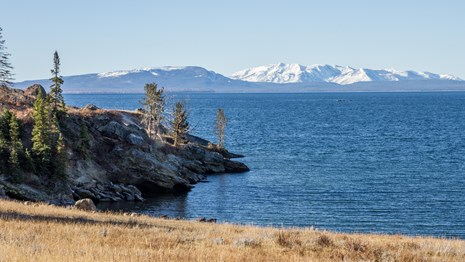 Looking out over Yellowstone Lake at Storm Point with the snow-capped Absaroka Range in view