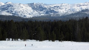 Skiers crossing a snowy field with mountains in the background.