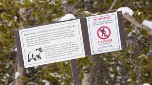Photo of a sign indicating a bear management area