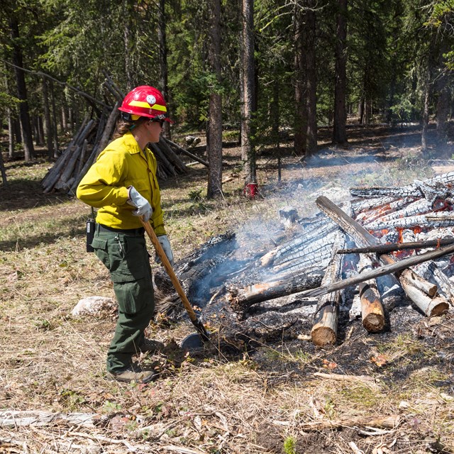 A wildfire crew stands closely by a large pile of burning logs.