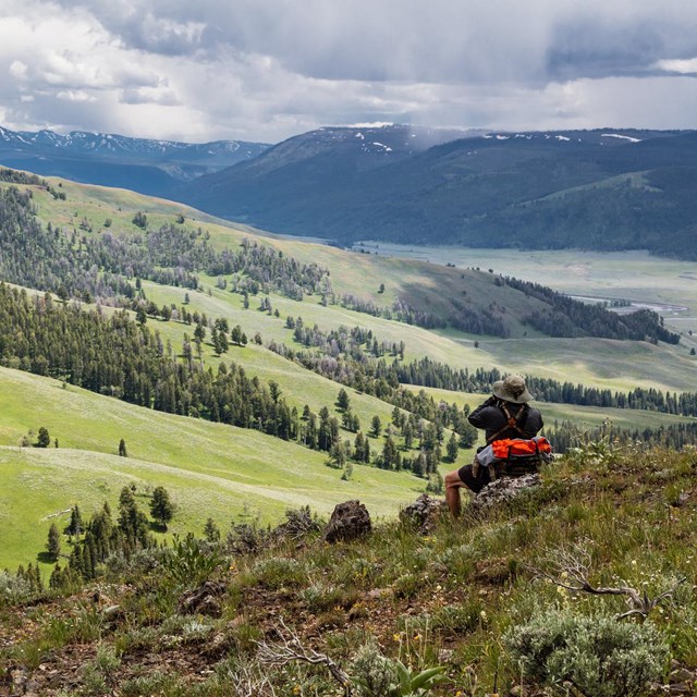 A person looks through binoculars over a grassy valley with large blue mountains in the background.
