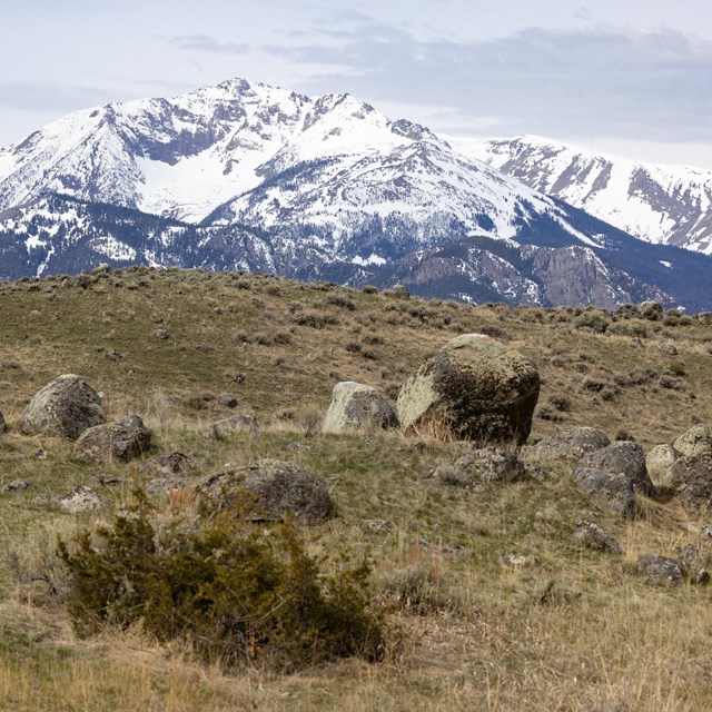 A jagged, snow-covered mountain peak lays beyond a grassy hill with rocks on it.