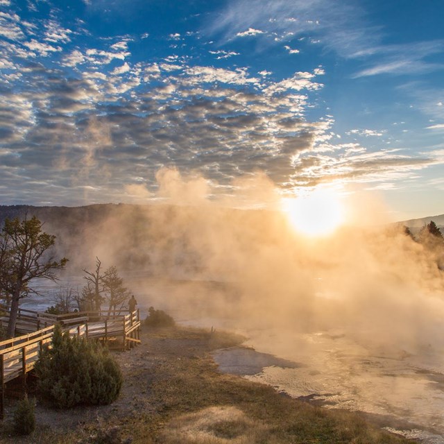 A person enjoys the sunrise at Mammoth Hot Springs
