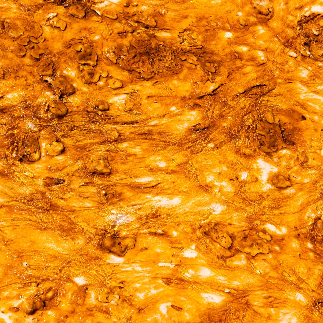 A close-up of a vivid orange bacterial mat.