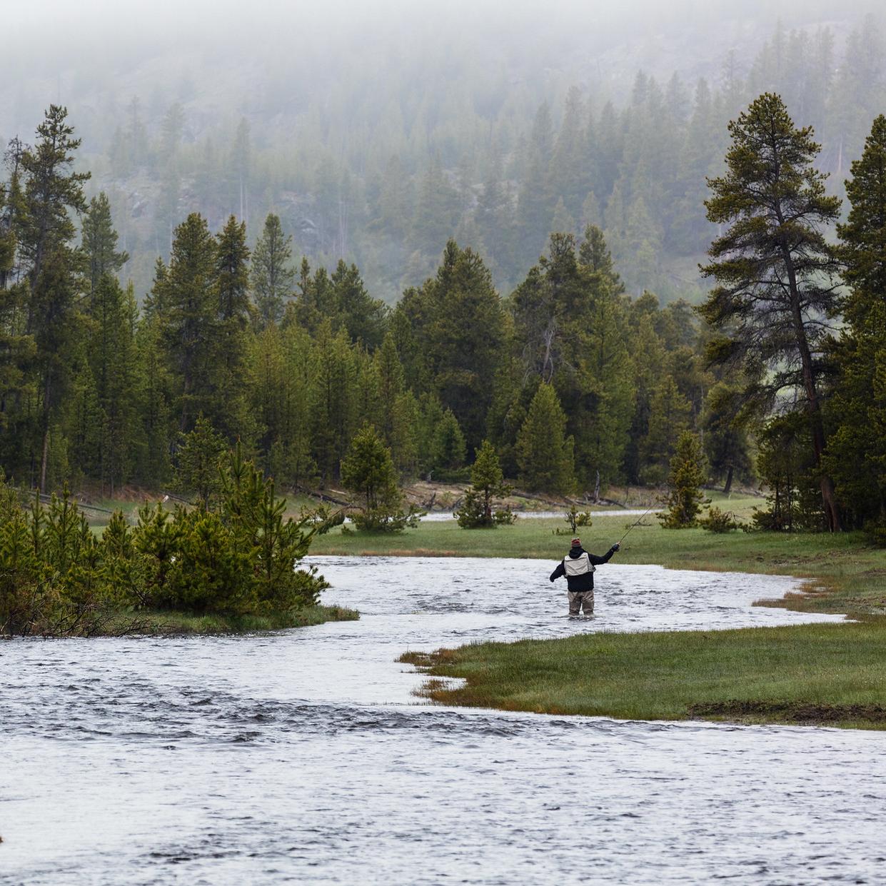 Person fishing in a river