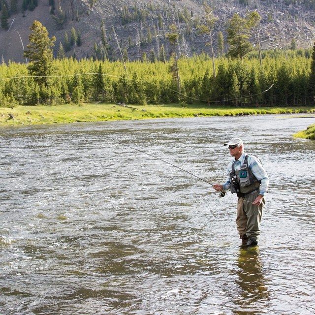 A person fly fishing in a river on a summer day