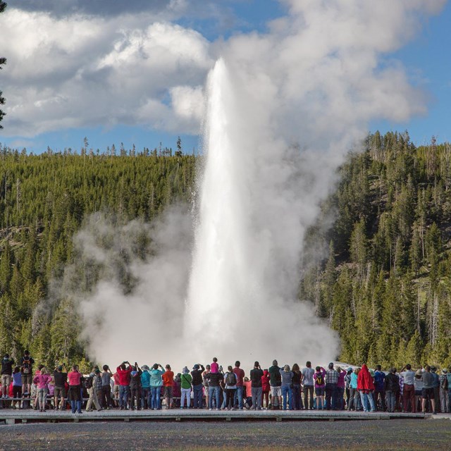 A large crowd of people watching a geyser erupt water and steam into the air.