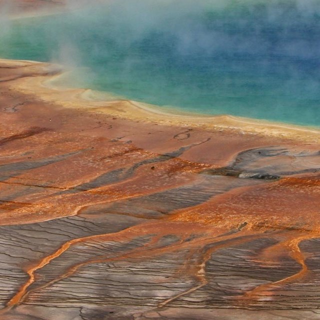 The rainbow colors of Grand Prismatic Spring range from blue to orange.