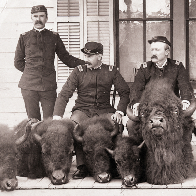 Men in uniform stand above severed bison heads