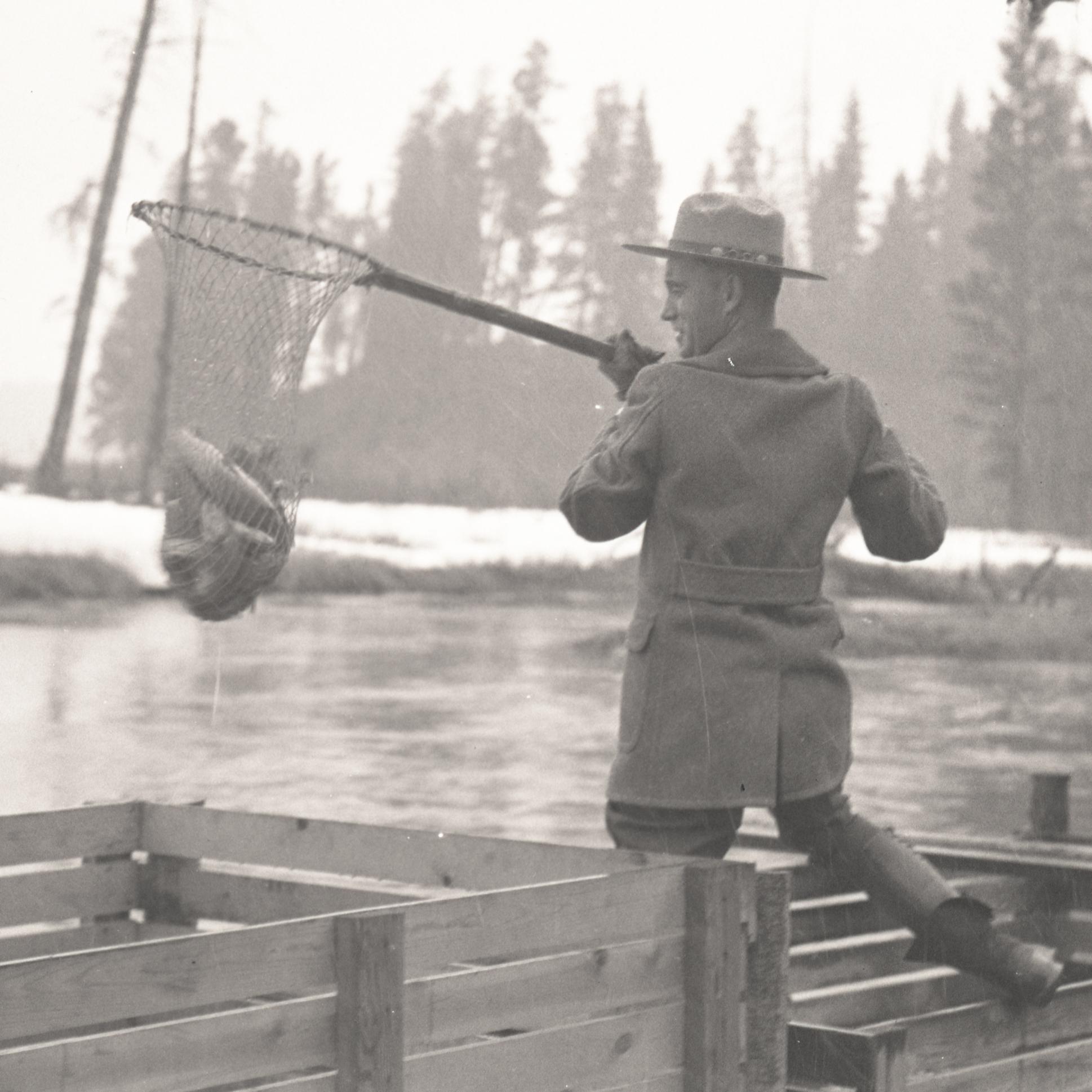 Range with a net full of fish along a creek
