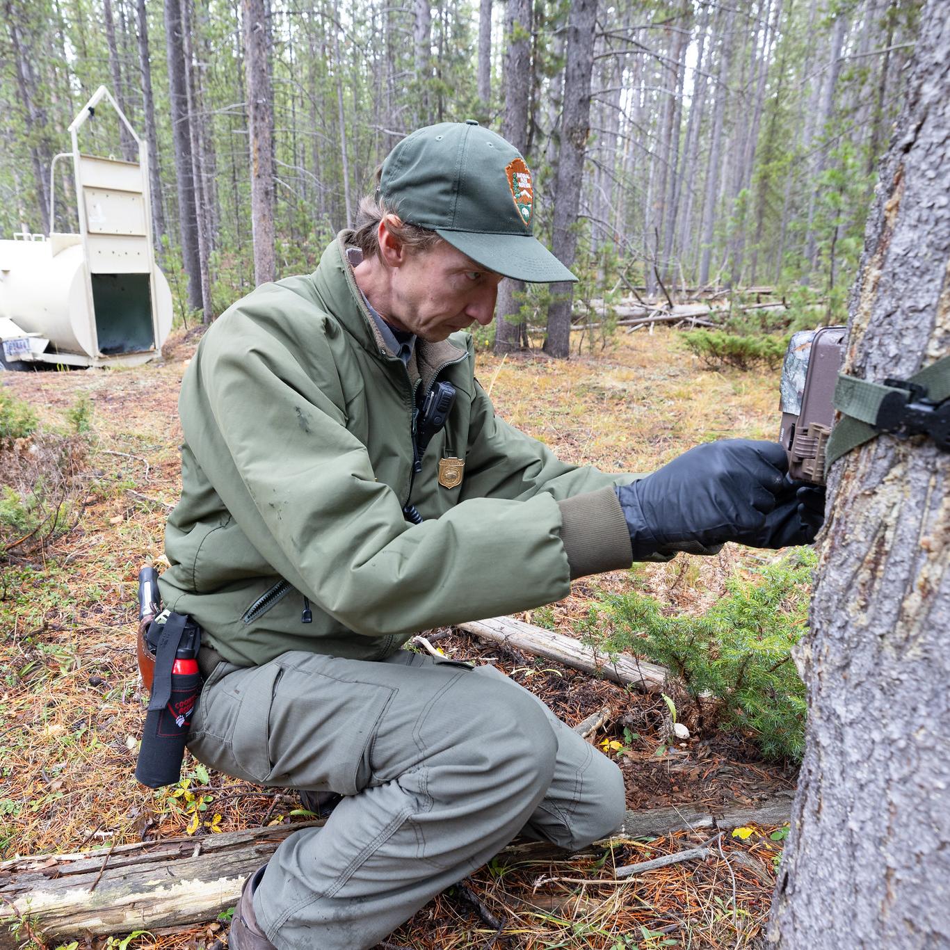 A biologist sets up a game camera in front of a culvert trap