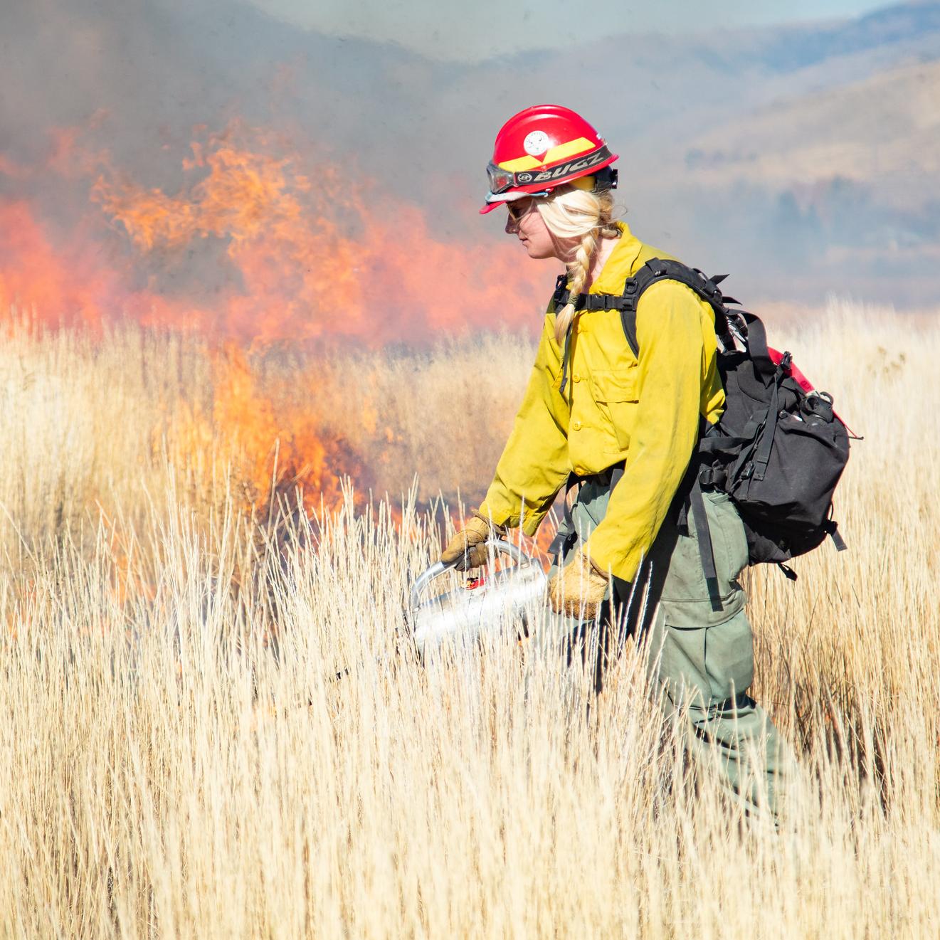 A wildland fire fighter performs a prescribed burn