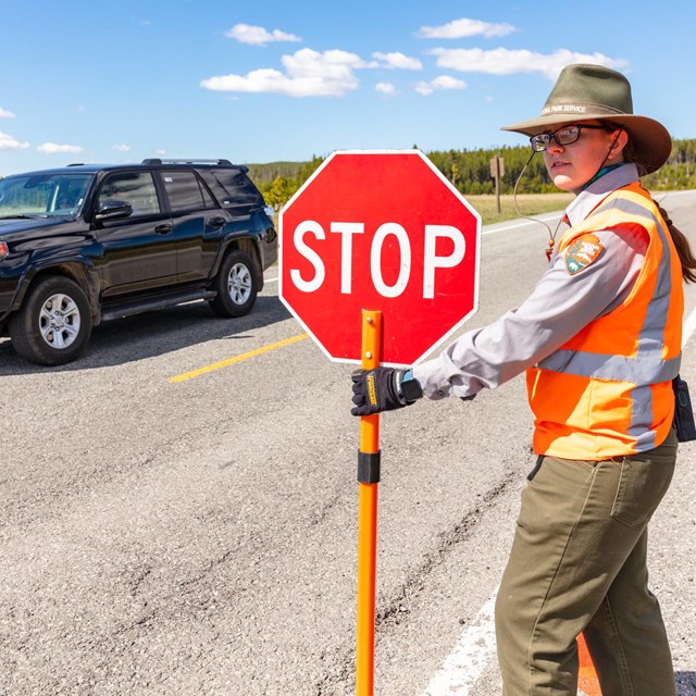 A flagger guides cars through road construction.