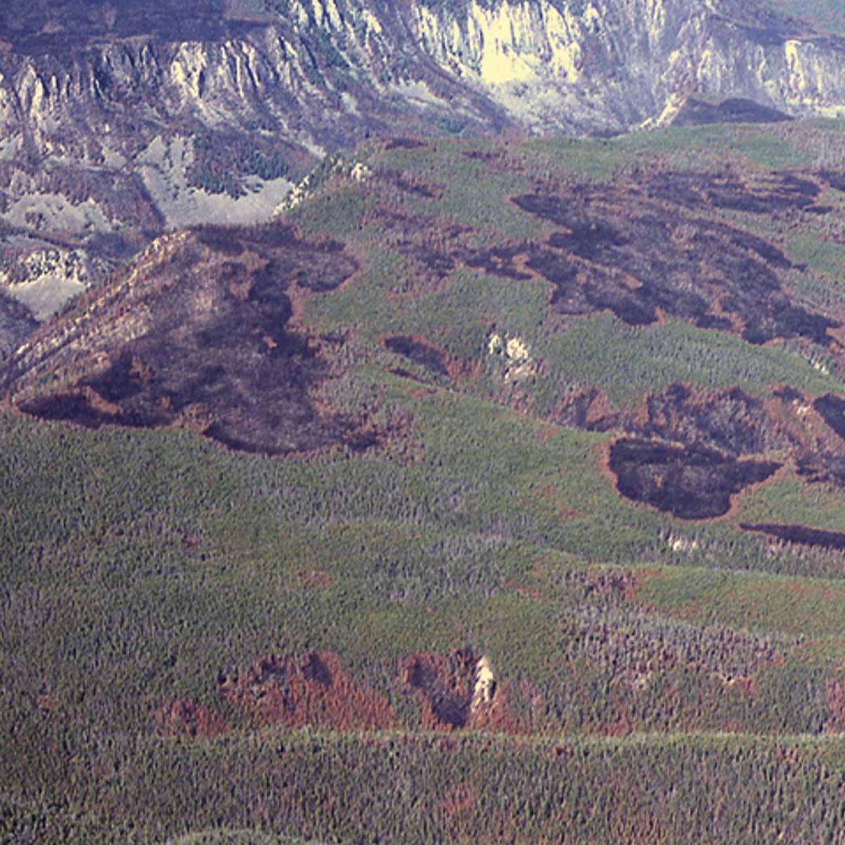 A burn mosaic shows a patchwork of fire scars and unburned forest.
