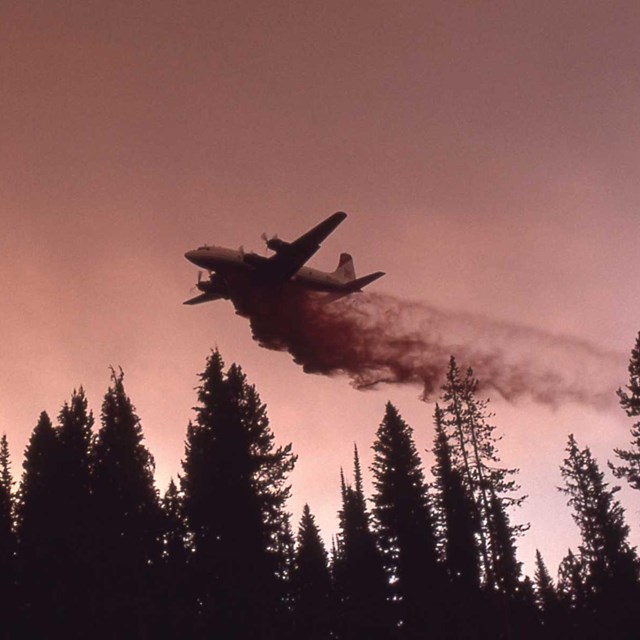 A plane drops water on a burning forest during the 1988 fires.