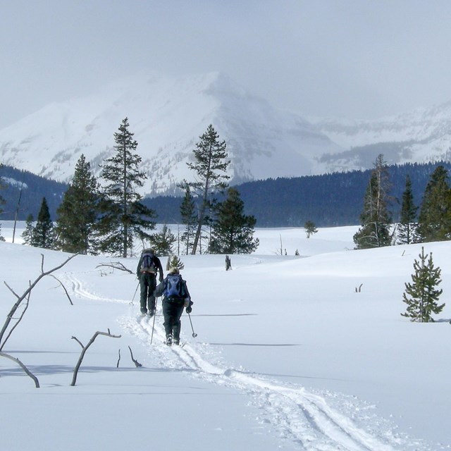 Skiers crossing a snowy field with mountains in the background.