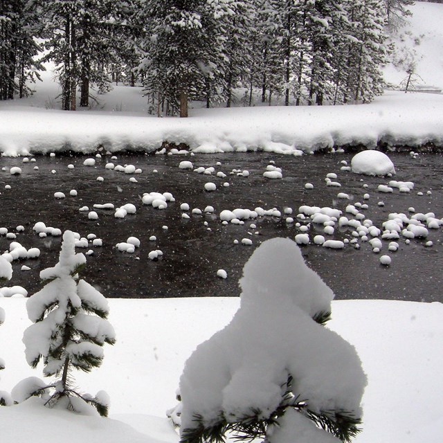 River flowing through a wintery forest scene covered in snow.