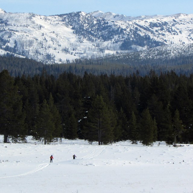 Skiers crossing a snowy field with mountains in the background.