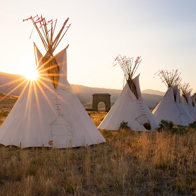 a row of white teepees at sunset