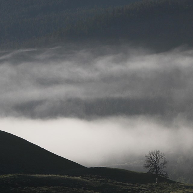 Dark clouds in a landscape